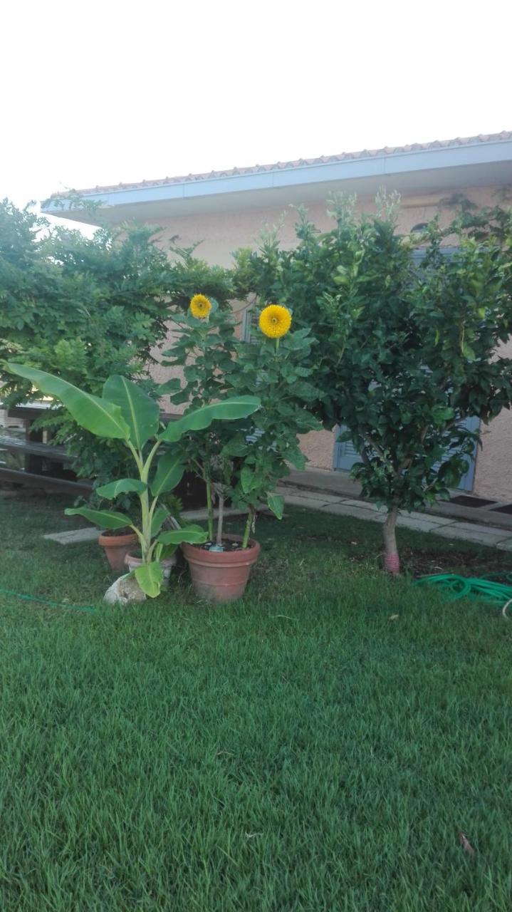 Appartamento In Villa Di Judighes Cerveteri Exterior foto